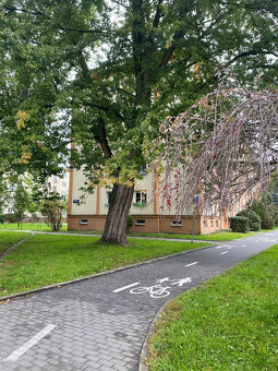 PRODEJ BYTU 2+1 PADĚLKY III, ZLÍN - 12