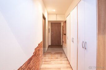 Pronájem byty 3+kk, 52 m2 - Plzeň - Východní Předměstí - 12