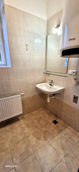 Pronájem bytu 2+kk, 60 m2 v cihlovém domě se zahradou - 12