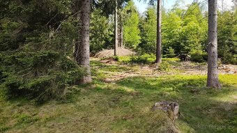 Prodej louky o celkové výměře 23 943 m2 nedaleko Frýdavy - 12