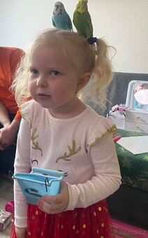 Andulky rok 2025 - okroužkované - 12