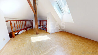 Praha 3 - Žižkov, pronájem mezonetového bytu 5+1 214 m2, okr - 12