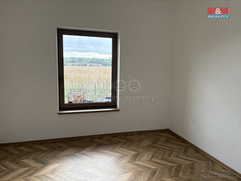 Prodej rodinného domu v Němčicích - 12