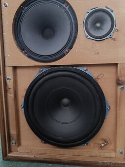 Repra Tesla, TVM, Tonsil, Canton - 12