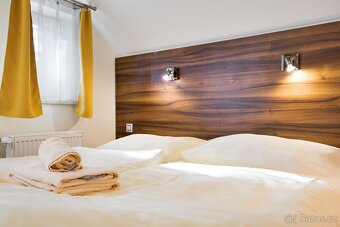 Prodej chaty na pronájem i s profily Airbnb, Booking - 12