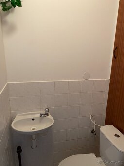 byt 3+1 Purkyňova - 12