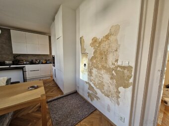 Nabízím malířské práce. Malování bytů. - 12