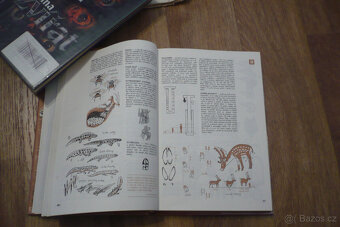 Encyklopedie  2 - 12