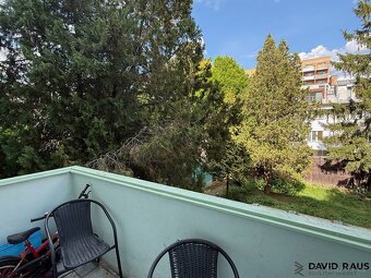 Pronájem bytu 3+1 s balkonem (100 m2 ) ul. Dalimilova, Brno  - 12