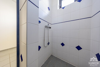 Pronájem obchodních prostor 299 m² ve Starém Městě - 12