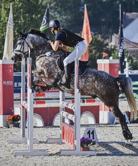 ⭐️ Krásný valášek na prodej ⭐️ - 12