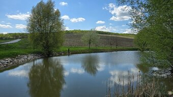 Stavební pozemek o výměře 781m2, v obci Milovice u Mikulova - 12