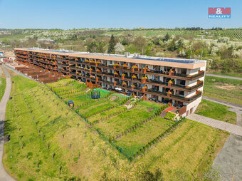 Prodej bytu 1+kk, 34 m², Slaný, ul. Lázeňská - 12