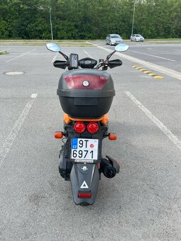 Prodám KENTOYA HAMSTER I - 12