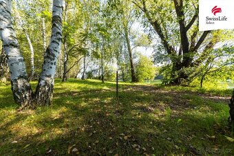 Prodej rybníku (vodní plochy) 5214 m2, Velké Bílovice - 12