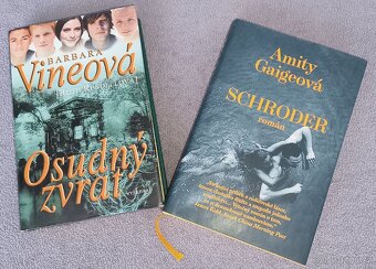 Výprodej knih, romány pro ženy - 12