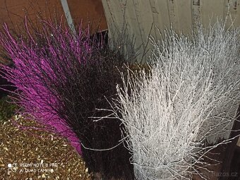 Prodej jmelí 2025🌿 - 12