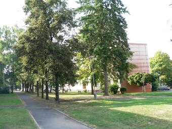 KLATOVY - byt 2+1 - 12