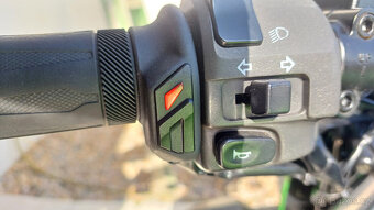 Kawasaki ZRX 1200R - 12