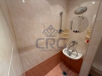 NABÍDKA PRONÁJMU BYTU 1+KK S PĚKNÝM VÝHLEDEM, BRNO – LESNÁ - 12