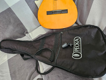 Kytara Stagg C530 - 12
