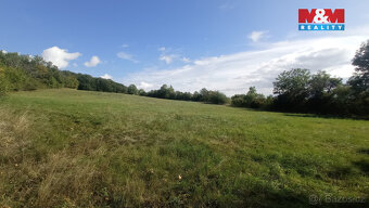 Prodej louky, 13227 m², Jenčice - 12