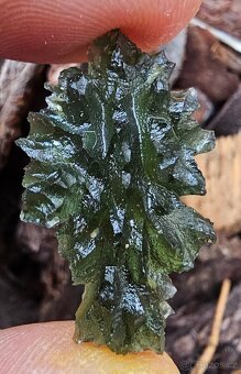 Vltavíny Besednice - 12