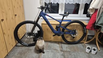 Lapierre e-zesty 9.4 L top - 12