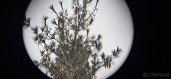 Dalekohled BRESSER 8X60 - 12