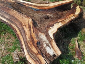 Ořechové solitérní fošny na epoxid - 12