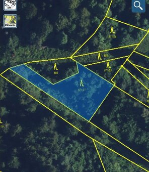 Lesní pozemek Jedlí - 12