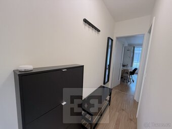 Pronájem bytu  1+kk, 40 m2 - Praha - Žižkov, ev.č. N08054 - 12