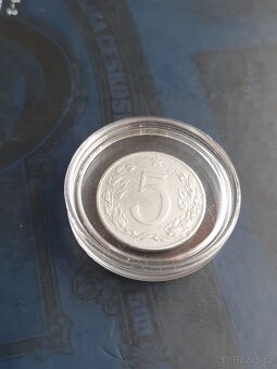 5 haliernik 1955 - 12