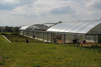 Malé želvy + vybavená terária - 12