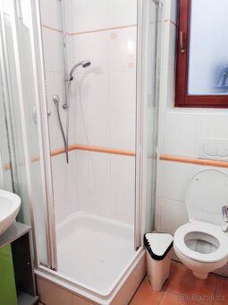 Pronájem, Byty 3+kk, 120m2 - Praha 3 - Žižkov, Baranova - 12