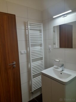 Pronájem bytu 1+kk (36m2) - 12