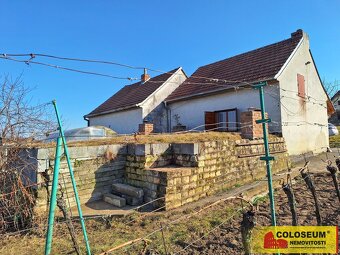 Milotice, vinný sklep, 50 m2, pozemek – vinný sklep - 12