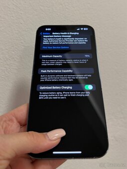 Apple iPhone 13 Pro Max, 128GB horsky modrý - 12