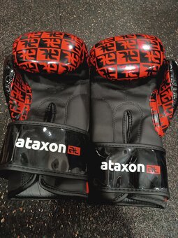 Taekwondo - kompletní set - 12