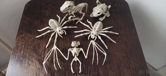 Halloween: Dámský kostým + vybavení - 12