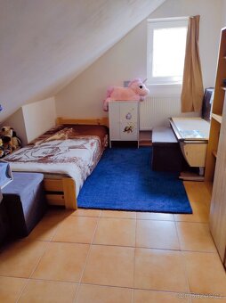 Prodám rodinný dům 168m2 pozemek 2972m2 - 12