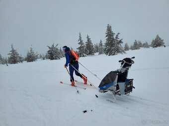 Thule Chariot CX - 12