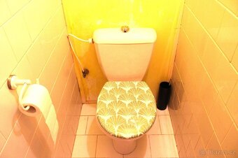 Pronájem bytu 2+1 Louky, Jarošov - 12