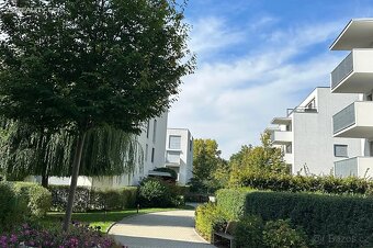 Pronájem bytu 2+kk 54 m² - 12