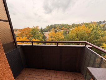 ✅Pronájem bytu 2+1 v srdci Ostravy❤️ bez provize realitce - 12