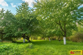 Rudka u Kunštátu, RD 4+kk, garáž, zahrada, pole - rodinný dů - 12
