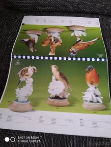 Royal Dux - katalog výrobků - 12