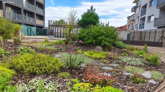 Prodej bytu 3+kk 70 m² Košinova, Brno - Královo Pole - 12