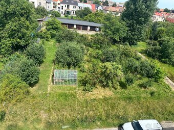 Pronájem zahrady v Pardubicích - 12