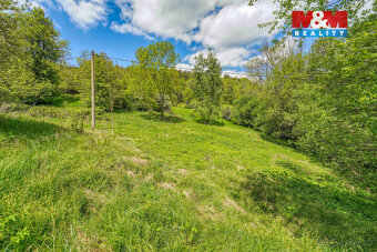 Prodej pozemku k bydlení, 10400 m², Sušice - 12